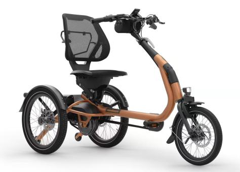 Vanraam Elektro Dreirad Easy Rider Compact+ 