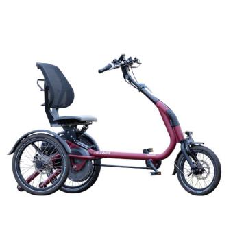 Vanraam Elektro Dreirad Easy Rider Compact 