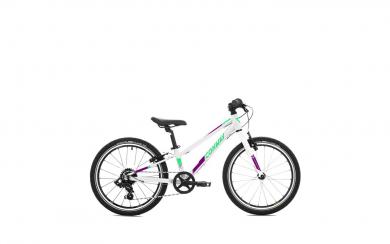 CONWAY MTB Jugendrad "MS 240 rigid" Mod. 23 