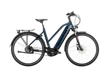 VICTORIA Elektro-Trekkingrad "eTrekking 11.9" Mod. 22 