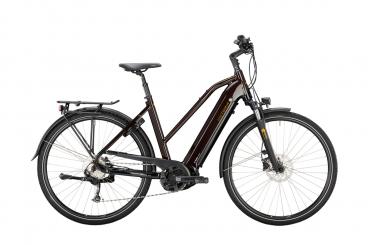 VICTORIA Elektro-Trekkingrad "eTrekking 12.8" Mod. 22 